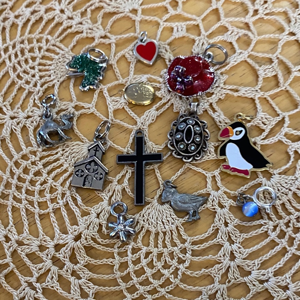 Assorted Charms Collection